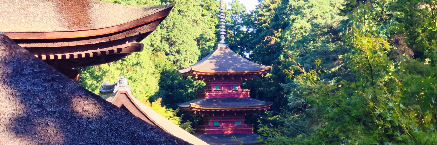 雲 banner