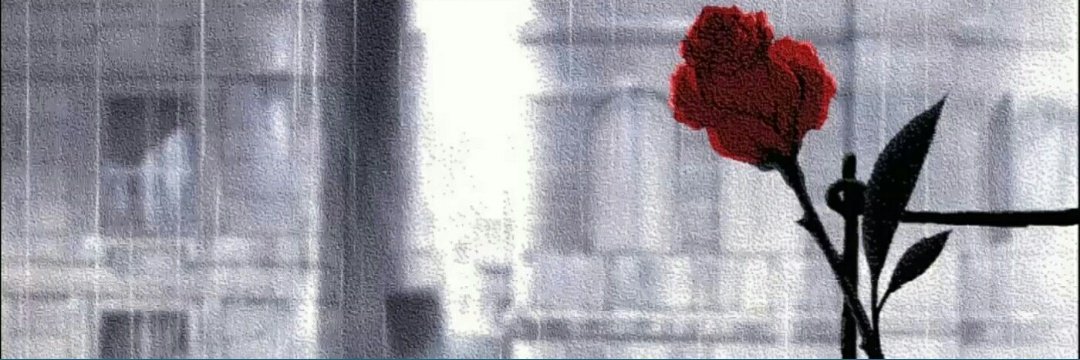 Laika banner