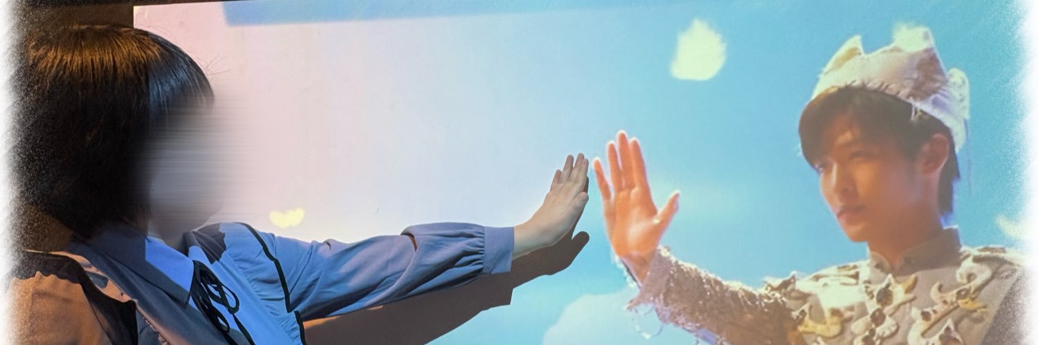 seina banner