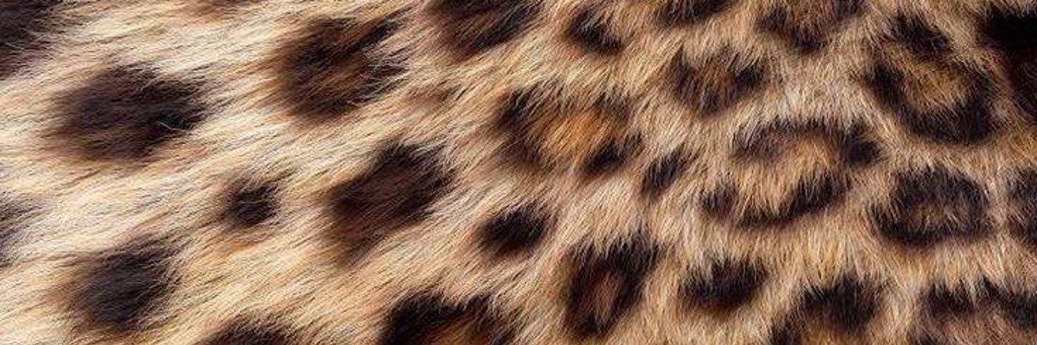 ｑｕｅｅｎ . banner