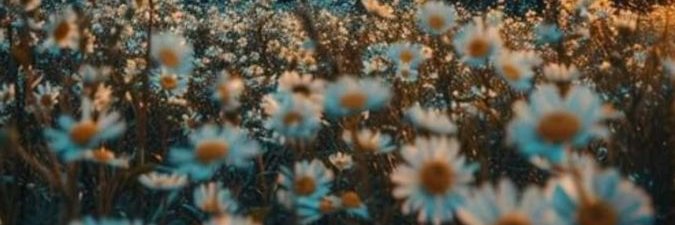 JenniferNe25826's profile banner image