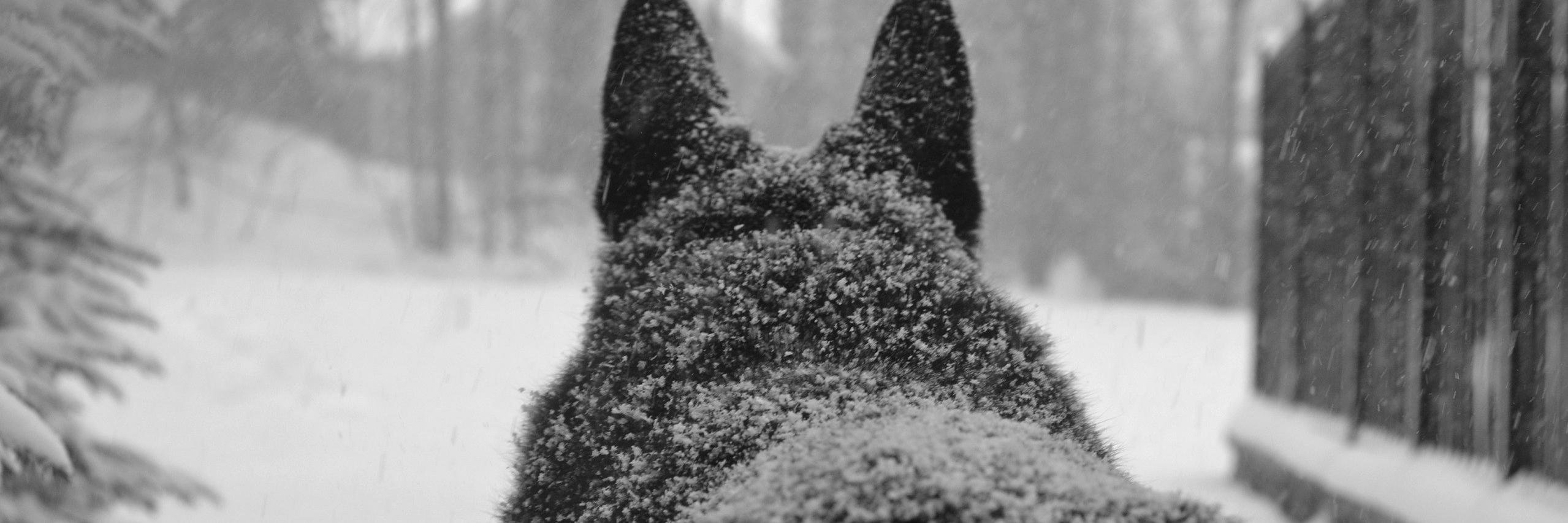 _JUSTINDM's profile banner image