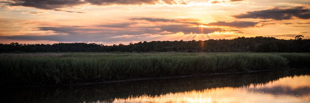 lisagrubba's profile banner image