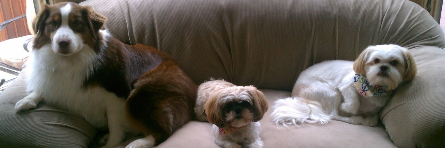 perch's circle (rip) banner