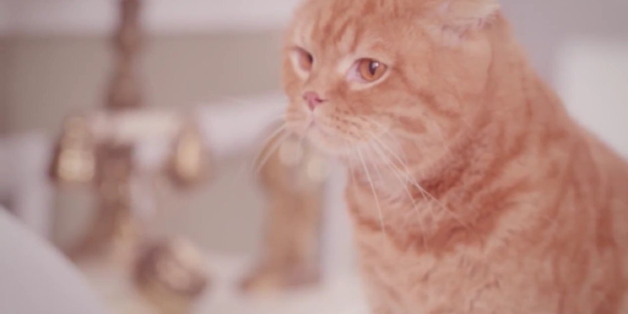 bangerzpc 🇯🇵 JAPAN 18-26/04 banner