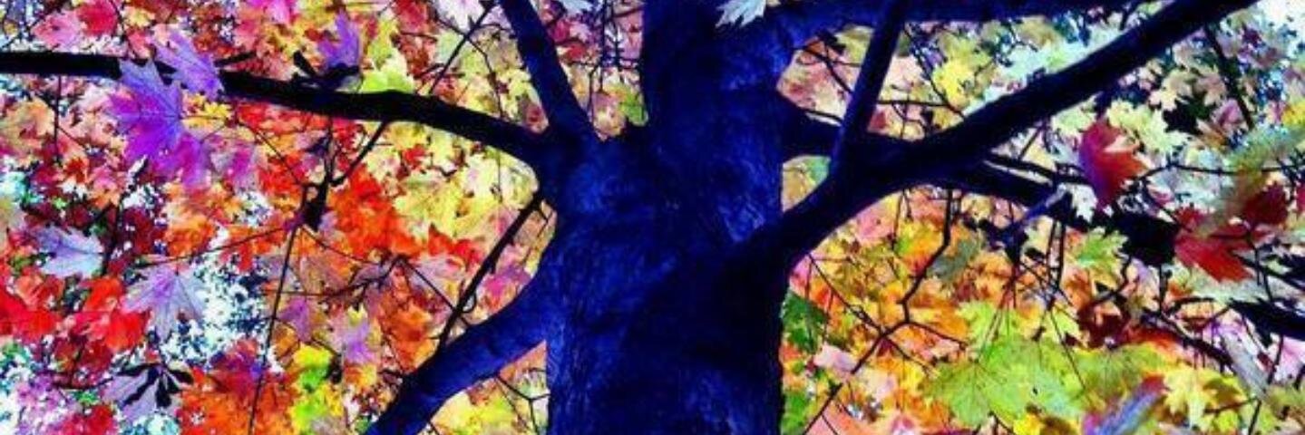 lidia12121's profile banner image
