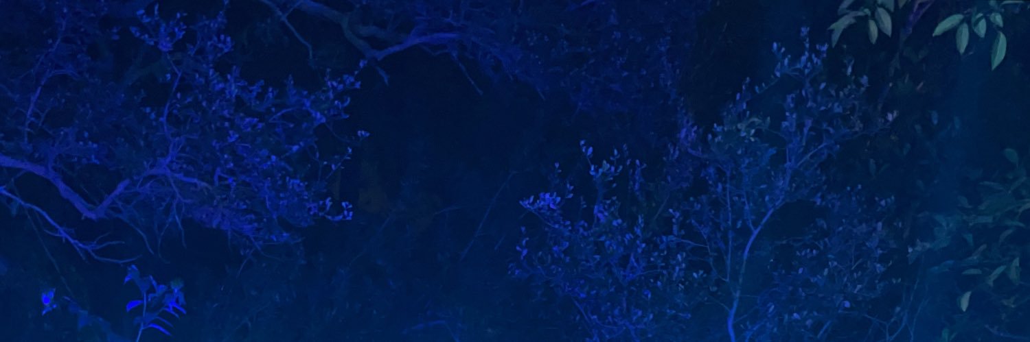 samgdf's profile banner image