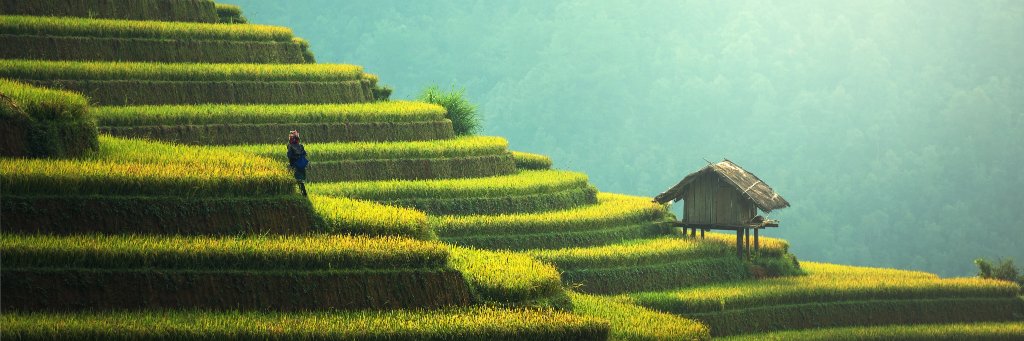IrwanFirdaus_SN's profile banner image
