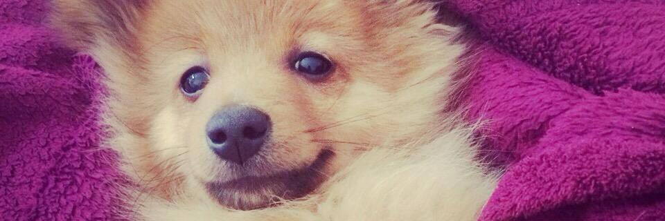 _Mylaaa's profile banner image