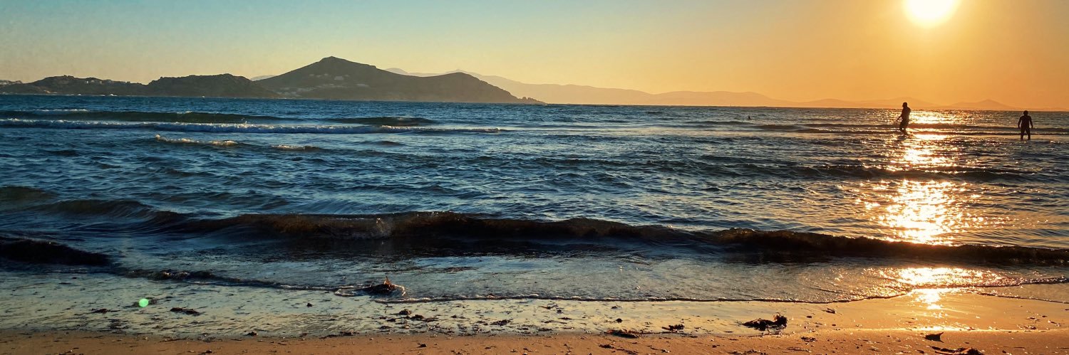 Alexander Ahammer banner