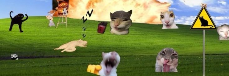 enn_sxxx banner
