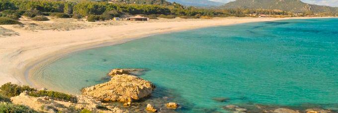 edo 🏄 banner