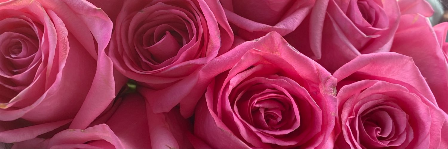 april_coby27481's profile banner image