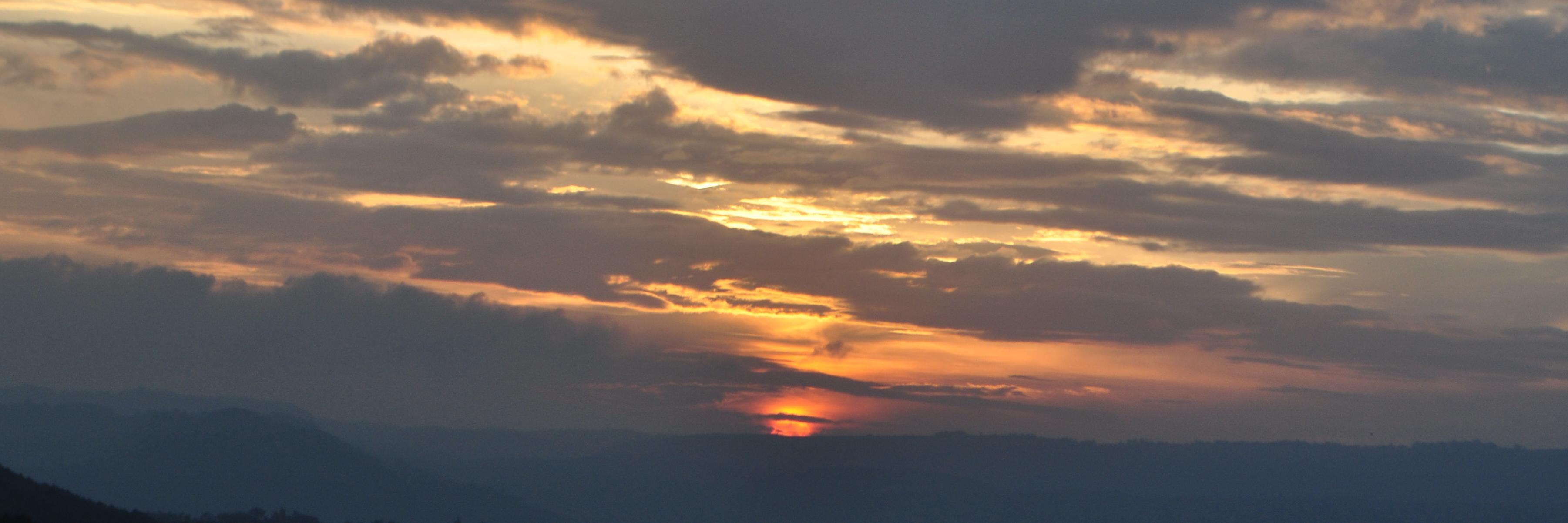 Saumya Vishnoi banner