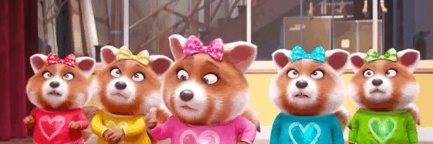 _zhmei's profile banner image