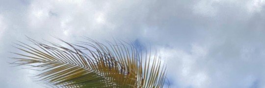 Chanchanegra7u7's profile banner image