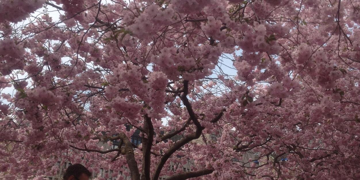 nadinesmormor's profile banner image