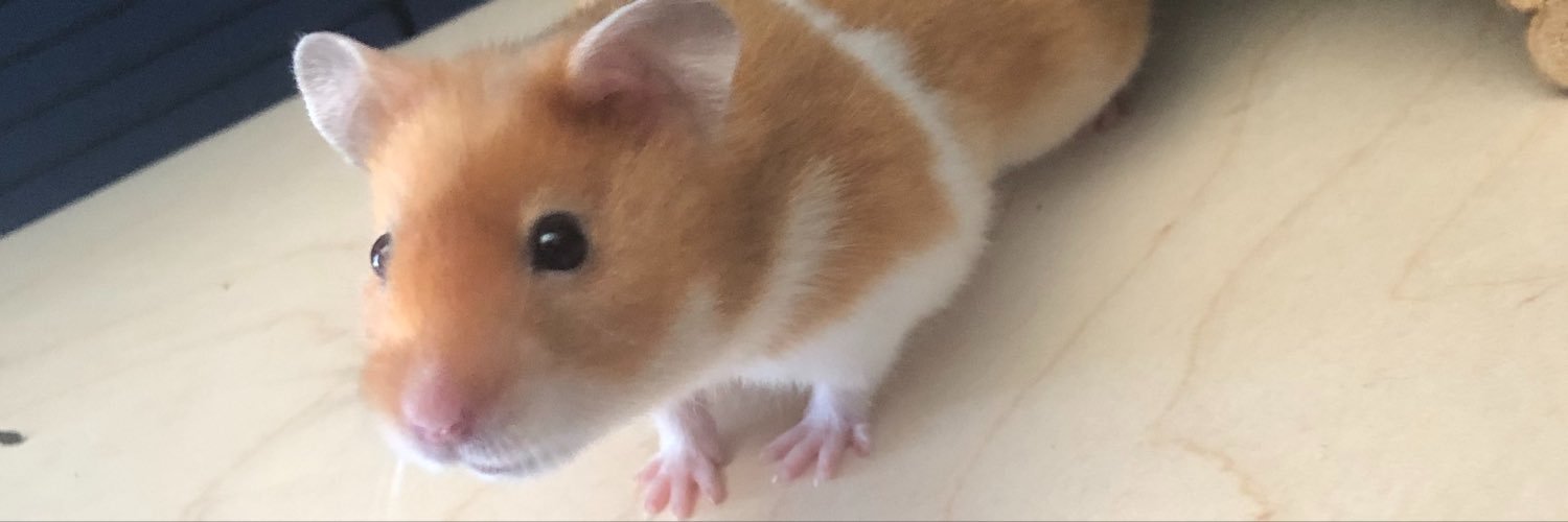 kevman1987's profile banner image