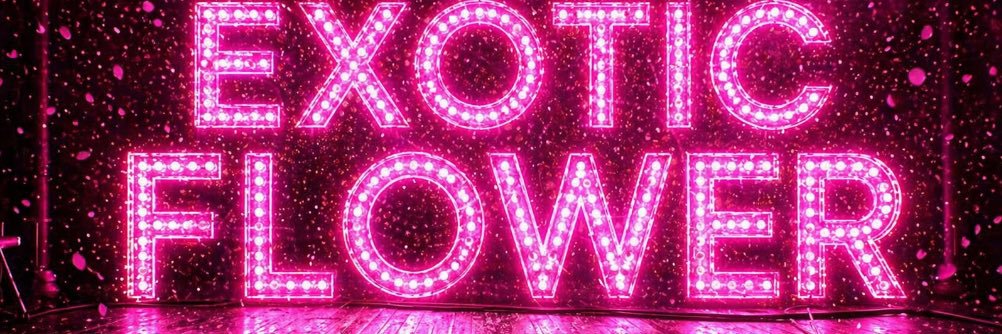 Your Exotic Flower 🌺💗 banner