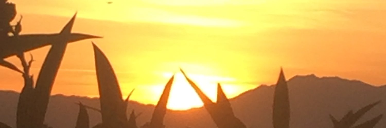 MJOLeary's profile banner image