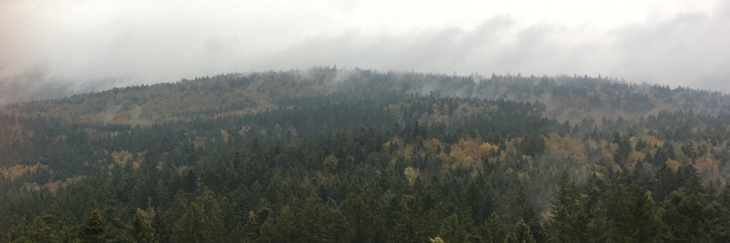 FrostedYT's profile banner image