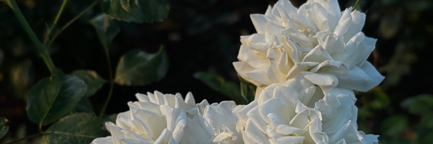 iam_9i's profile banner image