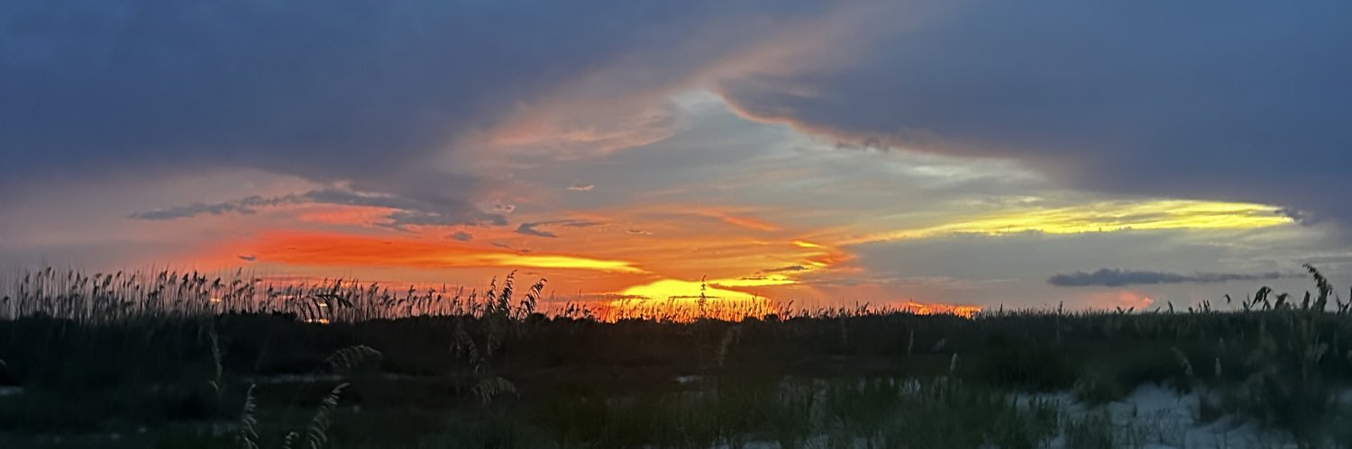 Rooted in Faith banner
