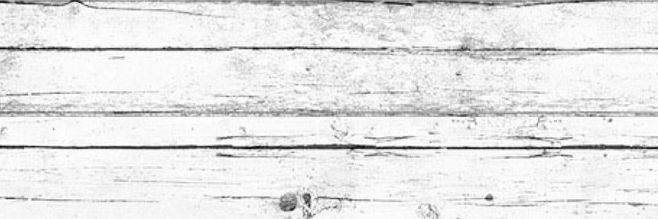 KristiBailey's profile banner image