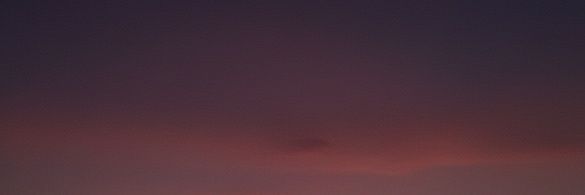 Zikry🦖 banner