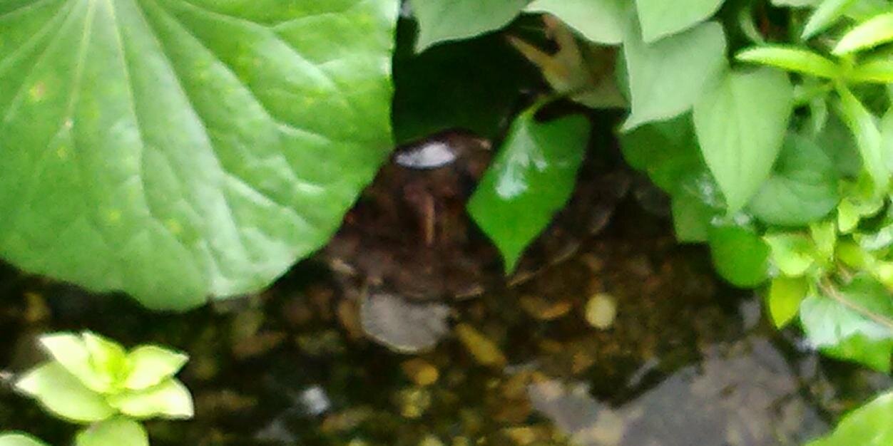 atorizm's profile banner image