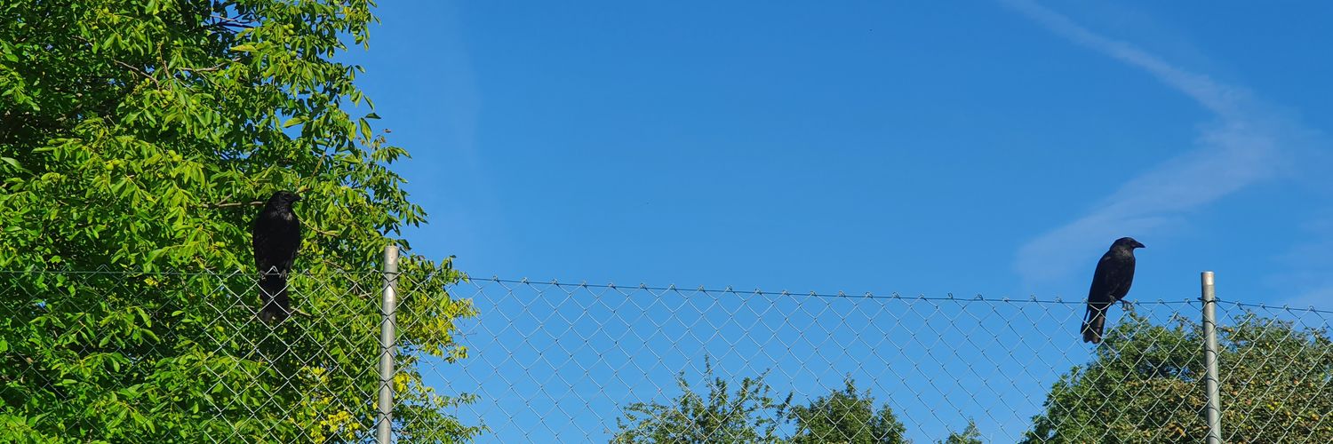 Tobbelmoppel's profile banner image