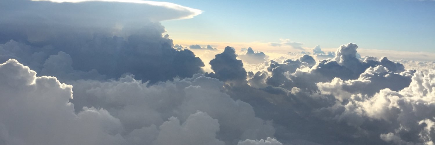 Cris Bierrenbach banner