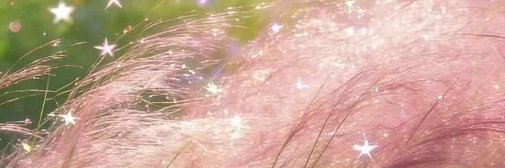 ☆ IAN. ☆ banner