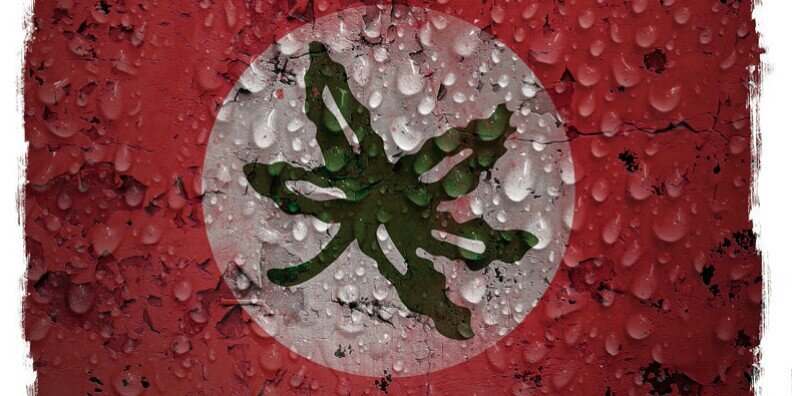 weakskd's profile banner image