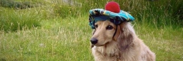 scrunchmunch_ Profile Banner