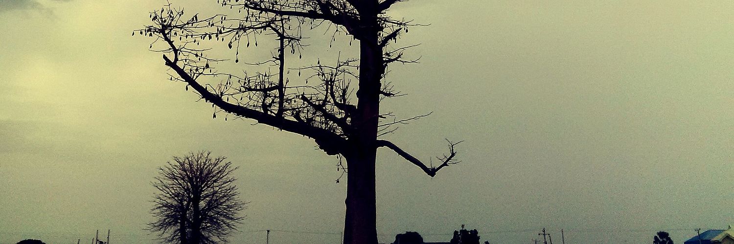 prince_alluring's profile banner image