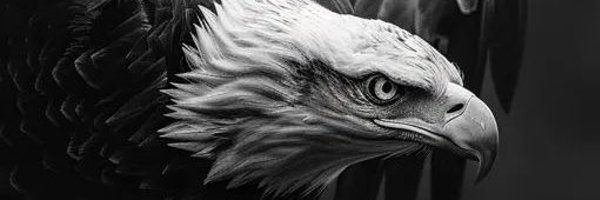 logiclives Profile Banner