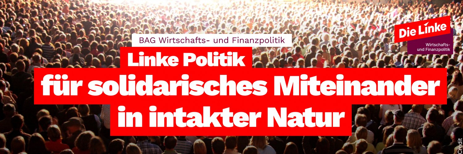 BAG Wirtschafts- und Finanzpolitik in Der Linken banner