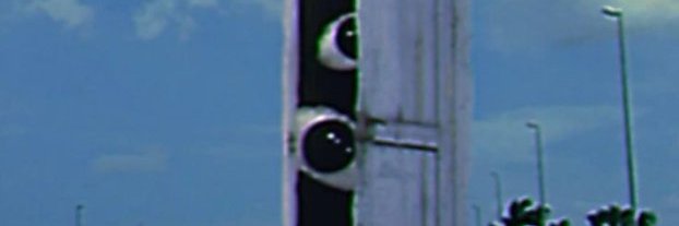 rav 🦕 banner