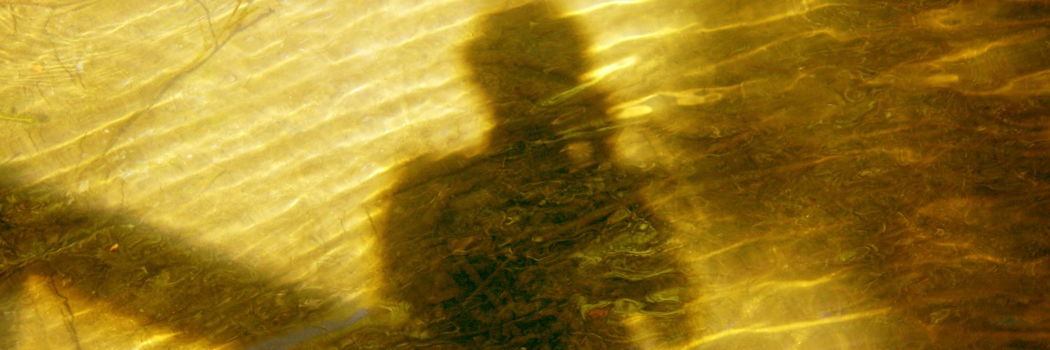 pequenosapo's profile banner image