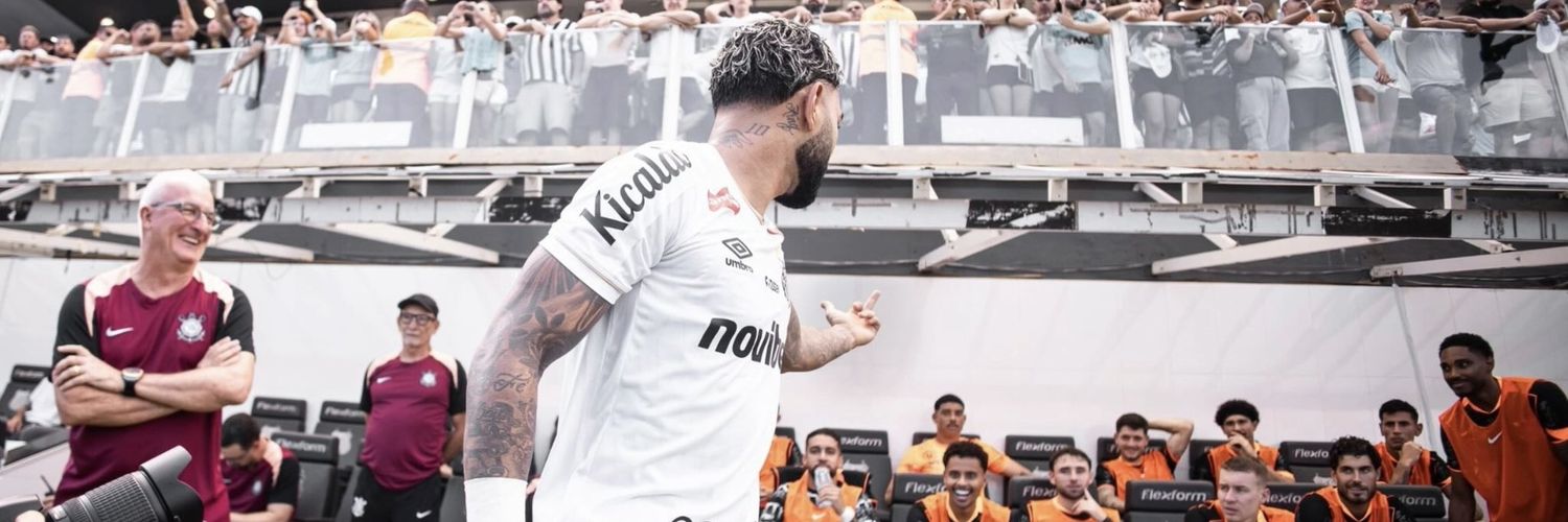 gabigol banner