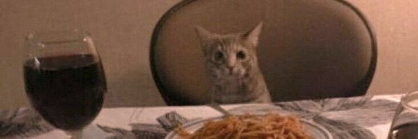 aladynsane Profile Banner