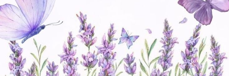 Lady D🪻📝 banner