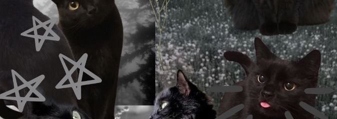 Scrrdeu's profile banner image