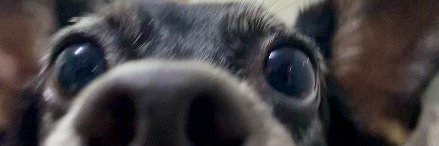 mrxnaski's profile banner image