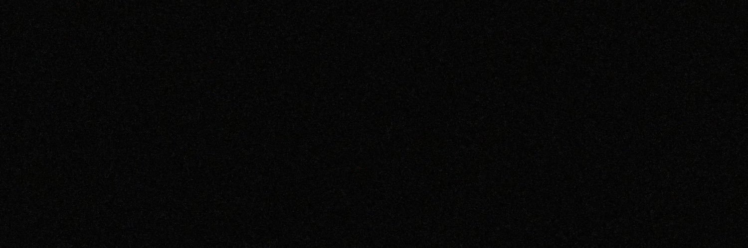 leonardo banner