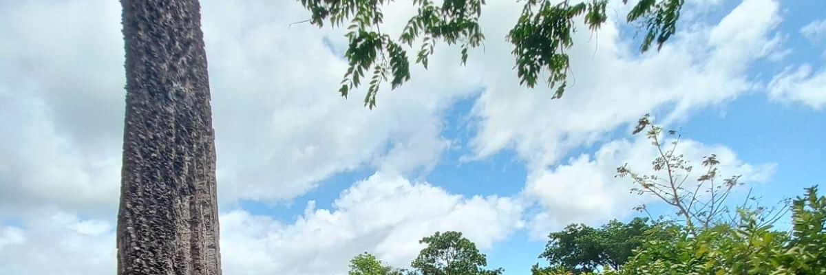 I' am inevitable banner