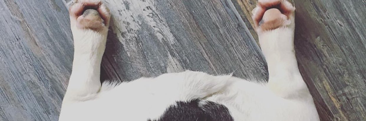MLikeas's profile banner image