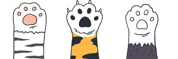 ayltdw's profile banner image
