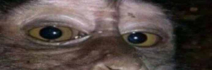sadsme_'s profile banner image